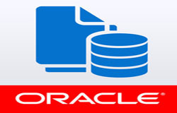 Oracle数据库管理工具有哪些?-北京华体会体育(中国)hth·官方网站公司