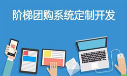 拼购电商系统APP软件定制开发、什么是拼购系统？-北京华体会体育(中国)hth·官方网站
