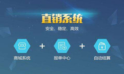 手机直销系统华体会体育(中国)hth·官方网站价格-北京软件外包公司