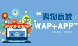 手机商城app华体会体育(中国)hth·官方网站流程-北京华体会体育(中国)hth·官方网站外包公司