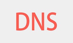 北京华体会体育(中国)hth·官方网站、DNS的基本概念、北京华体会体育(中国)hth·官方网站华体会体育(中国)hth·官方网站