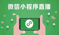 微信小程序开发、直播小程序开发-华体会体育(中国)hth·官方网站华体会体育(中国)hth·官方网站公司 
