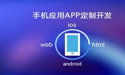 APP开发市场上常见问题分析-北京华体会体育(中国)hth·官方网站公司